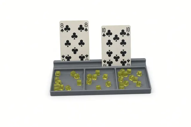 Kartlıklı Token Kabı - Gri
